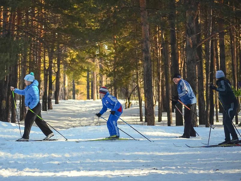 Mennesker står på ski i en skog